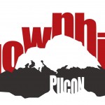 downhill pucon