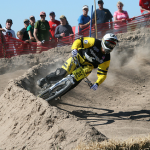 Sea Otter Day 2