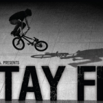 Stay Fit