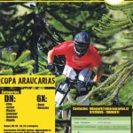 Copa Araucarias