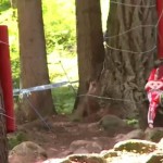 Video :: Val di Sole World Cup