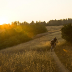 Pedaleo, bajada, pedaleo, bajada
