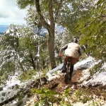 Video :: Open Shimano DH Round 5 Bariloche 2010