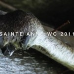 Video :: The Punisher – Mont Sainte Anne 2011