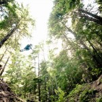 Video: Stund Season 3 Trailer