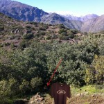 Concurso GeoCaching :: Encuentra una Polera IBIS en el Circuito del Montenbaik Enduro