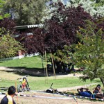 Reporte :: Copa Chile #1 Cerro San Cristobal