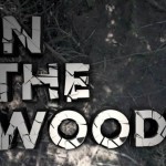 In the Woods con Amir Kabbani