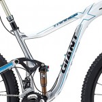 Giant Trance X 29er 2013