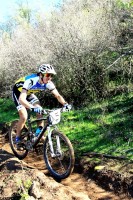 test en carrera