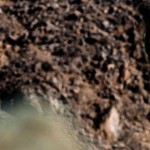 Argentina Adventure by Rocky Mountain – Episodio 1, 2, 3 y 4