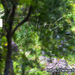 Enduro Meeting Argentina