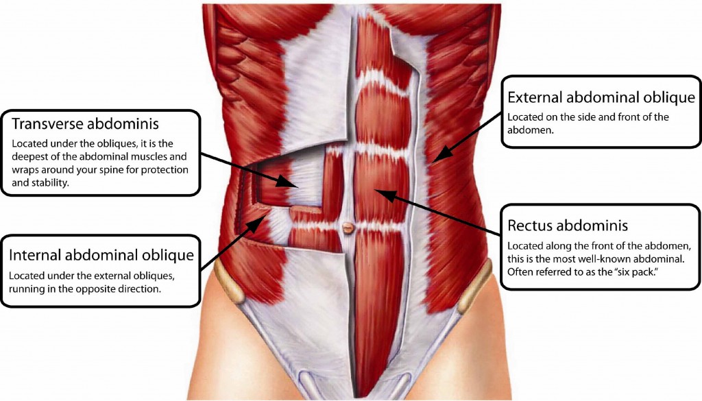 Core-muscles-1024x585