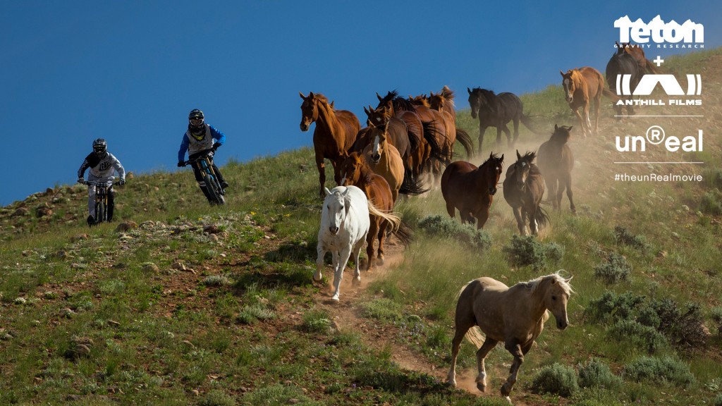 tgr-anthill-unreal-pr-images-bikers-with-horses-1024x576